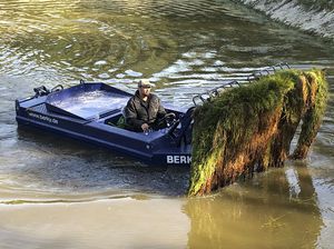 bateau tondeuse