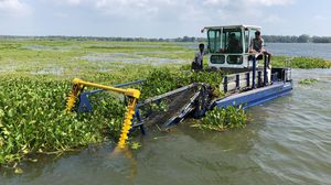 bateau moissonneur d'algues