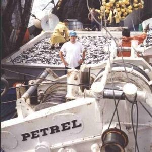 treuil pour navire