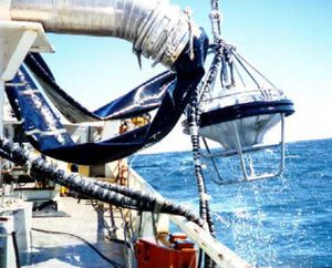 pompe à poissons de transfert
