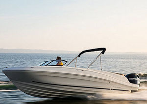 runabout hors-bord