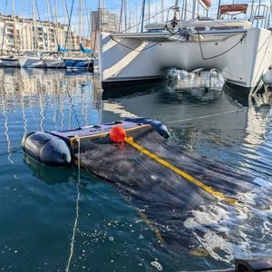 drone marin pour la collecte de déchets