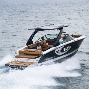 runabout in-bord