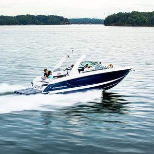 runabout in-bord