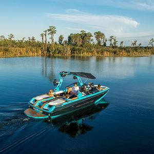 runabout in-bord