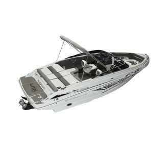 runabout in-bord