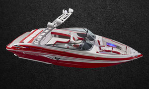 runabout in-bord