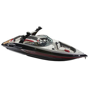 runabout in-bord