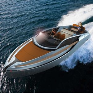 vedette in-bord / diesel / bimoteur / open