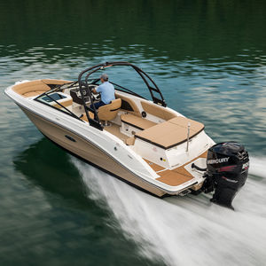 runabout hors-bord