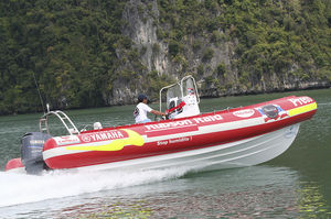 bateau professionnel bateau utilitaire / hors-bord / bateau pneumatique semi-rigide