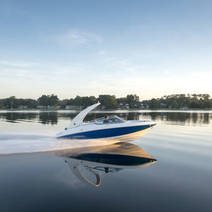 runabout in-bord