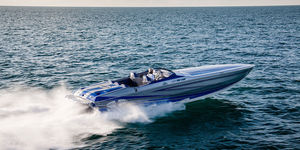 runabout in-bord