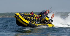 bateau professionnel bateau promenade / bateau de sauvetage / hors-bord / bateau pneumatique semi-rigide
