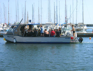 bateau professionnel bateau de support pour la plongée