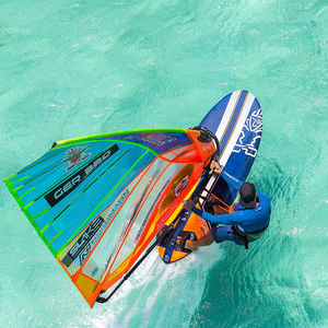 planche à voile de freeride / de freerace / de vitesse