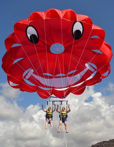 parachute ascensionnel 1-4 places 1