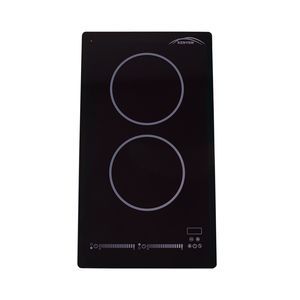 plaque de cuisson à induction 1