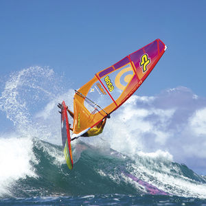 planche à voile de vagues / quad fin / tri fin / twin fin