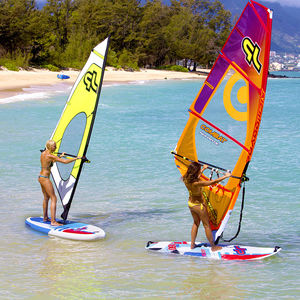 gréement complet de planche à voile 1