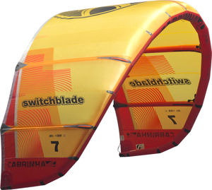 aile de kitesurf hybride / de freeride / de freestyle