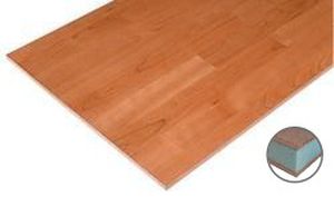 panneau sandwich pour plancher intérieur 1