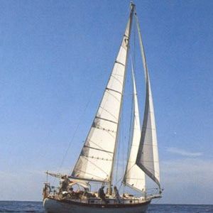 grand-voile / voile d'avant / pour voilier de croisière / coupe horizontale