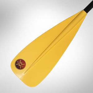 pagaie pour stand-up paddle-board