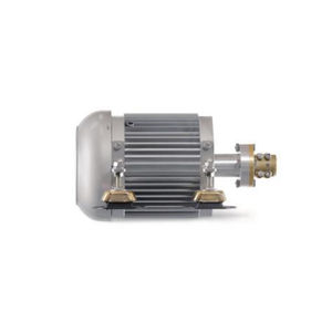 moteur in-bord / plaisance / professionnel / électrique