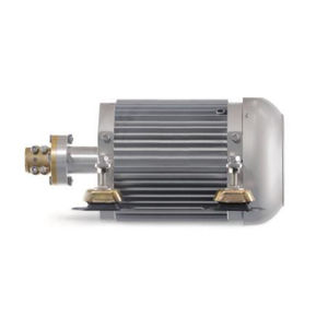 moteur plaisance / professionnel / in-bord / électrique