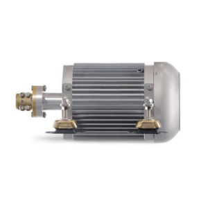 moteur plaisance / professionnel / in-bord / électrique