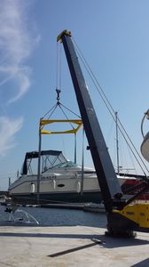grue pour marina / à flèche relevable