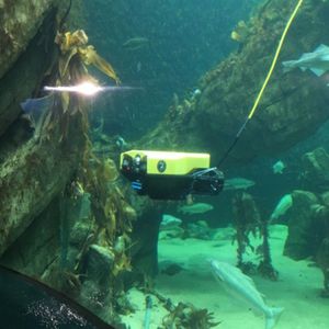 ROV sous-marin d'intervention