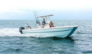 coque open catamaran