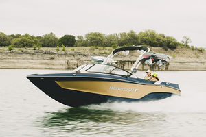 runabout in-bord
