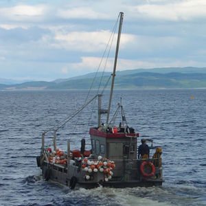 bateau utilitaire 1