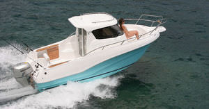 bateau de pêche-promenade diesel