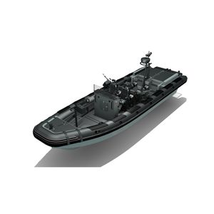 bateau professionnel in-bord