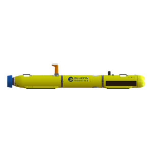 AUV