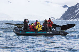 bateau utilitaire