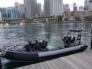 bateau professionnel in-bord