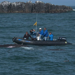 bateau pneumatique hors-bord / semi-rigide / pliable / de plongée