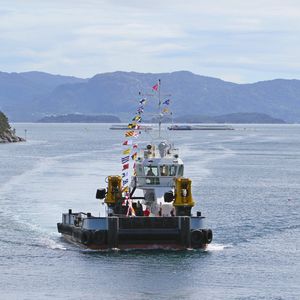 navire polyvalent catamaran