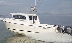 cabin-cruiser hors-bord 1