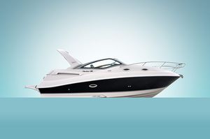 runabout in-bord 1