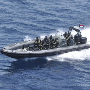 bateau professionnel hors-bord