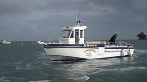 bateau à passagers