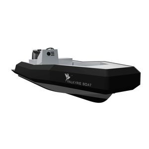 bateau de surveillance 1