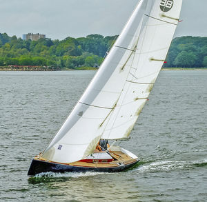 génois 1