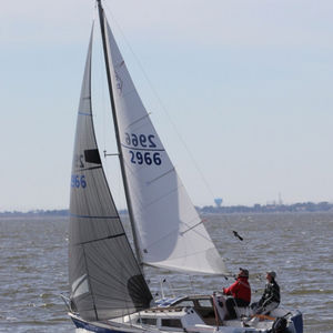 génois 1